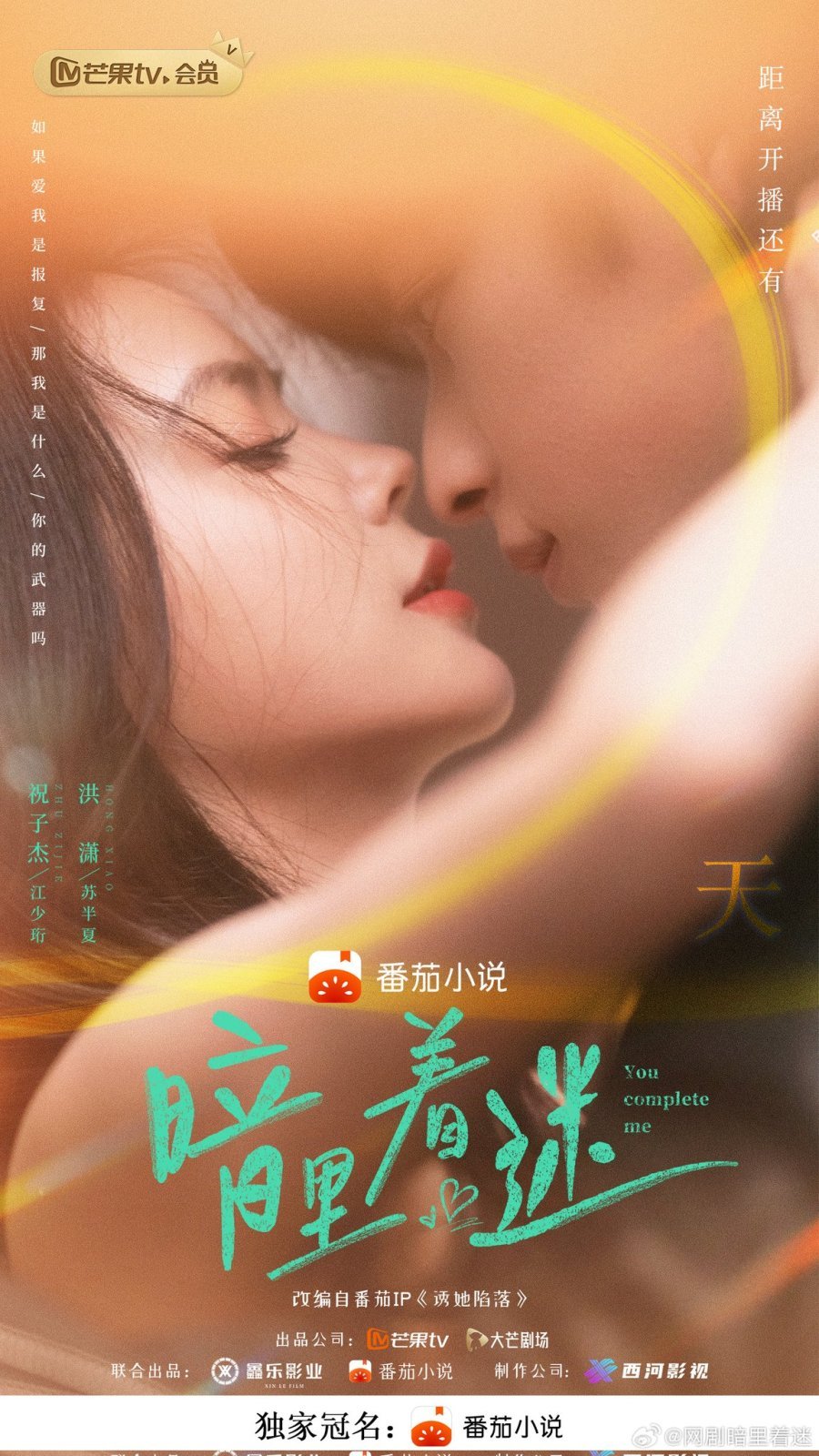 Ты дополняешь меня - главный постер