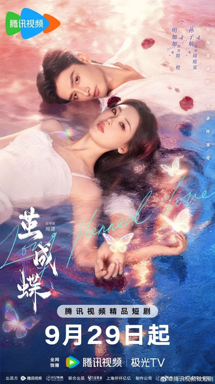 Долгожданная любовь - главный постер